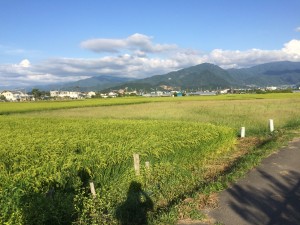 母屋敷地から２００ｍ程度の農地 長野市川中島町御厨 売り農地付本格和式農家住宅 スターマン®おススメ スターハウジング®にて売却のご相談・ご依頼を頂戴している不動産