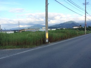 公道に面す畑もあります 長野市川中島町御厨 売り農地付本格和式農家住宅 スターマン®おススメ スターハウジング®にて売却のご相談・ご依頼を頂戴している不動産